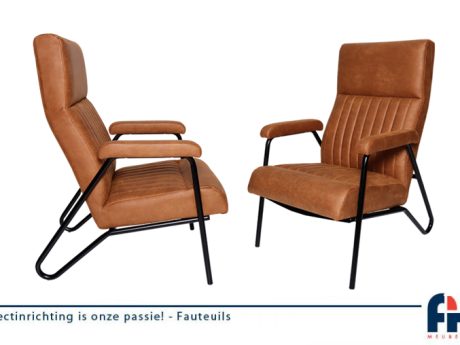 Fauteuils - FH Meubelen